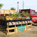 Amadio Ranch Peach Truck Tempe