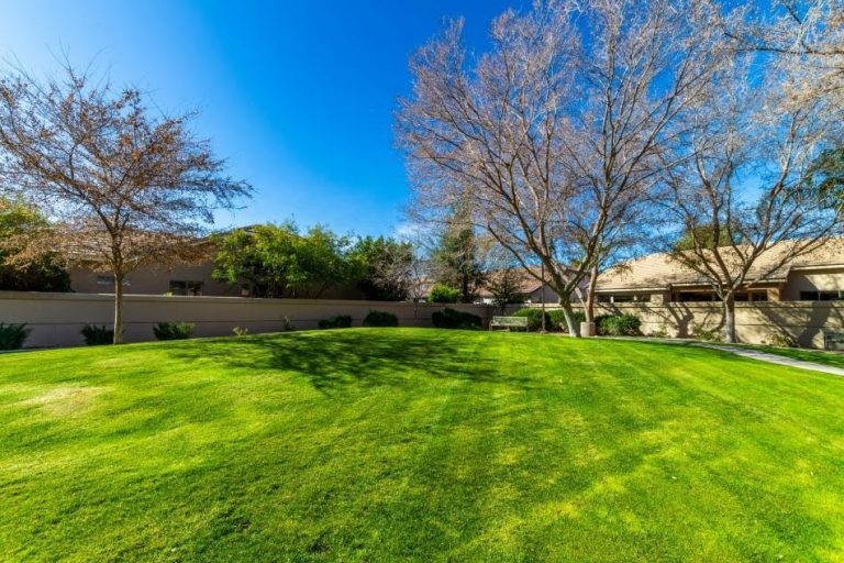 Alisanos homes for sale Tempe, AZ