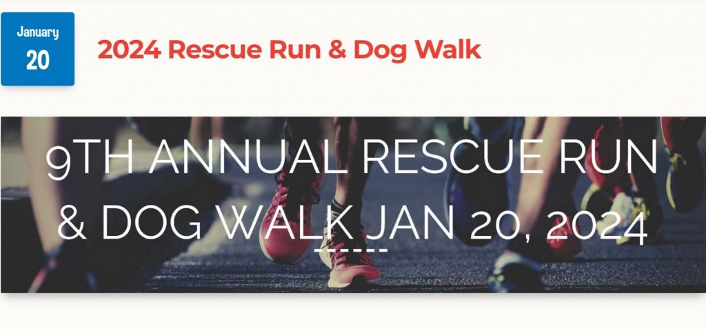 Boxer Luv Rescue Run 2024