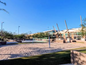Avnet employee voleyball